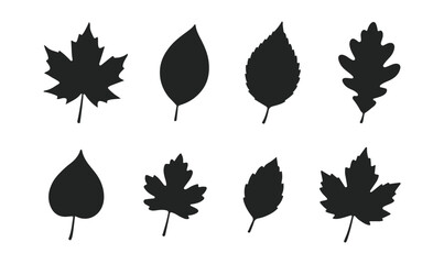 Collection of autumn leaf silhouettes set isolated on white background. Variety of different tree leaves vector design perfect for fall seasonal decoration.