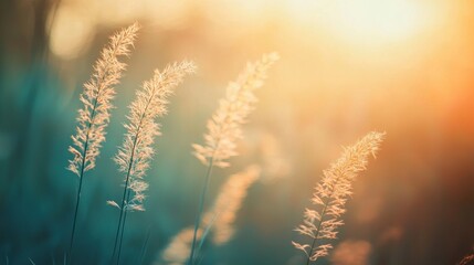 Three tall, slender grasses swaying in the wind against a vibrant sunset sky.