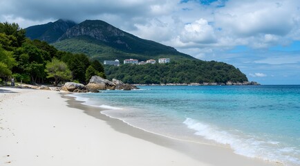 tropical beach with palm trees