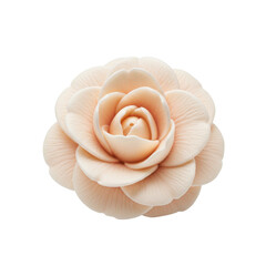Delicate peach-hued camellia flower with soft, layered petals in full bloom isolated on white background