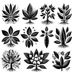 Collection of stylized black and white plant illustrations with visible root systems shown clearly