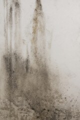 Fototapeta premium Severe Black Mold Damage on White Wall in Modern Home Premium Authentic Real Estate and Insurance Marketing Content on Air Quality and Moisture Hazards