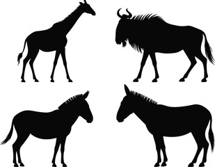 Wild animal silhouettes vector, giraffe, wildebeest, zebra, donkey, black and white illustration, safari wildlife, nature, jungle animals, graphic design