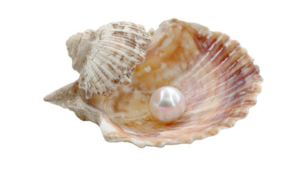 Pearl inside seashell on white background