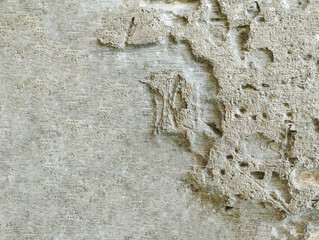 Rough Weathered Tree Bark Texture