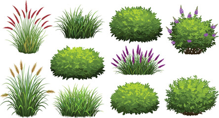 Decorative garden bushes and grass set, realistic green shrub vector, floral plant collection, landscape design elements, cad drawing flat vector illustration