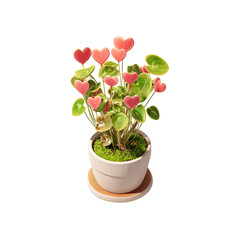 Heart-shaped decorations adorn a potted plant