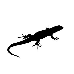 Black lizard silhouette isolated on white background