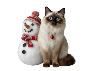 Playful cat sitting beside cheerful snowman wearing red scarf and hat, winter scene, transparency background, festive and cute atmosphere, blue eyes, fluffy fur