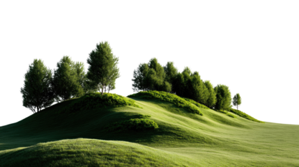Rolling Hills of Verdure: The sun-kissed beauty of undulating grassy knolls hosts a collection of lush, vibrant trees, a vivid tapestry of nature's touch.