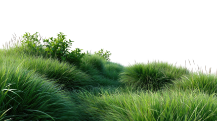 Green Hillscape: An expansive vista of lush, emerald green grass cascading over rolling hills, a testament to nature's vibrant beauty and tranquility.