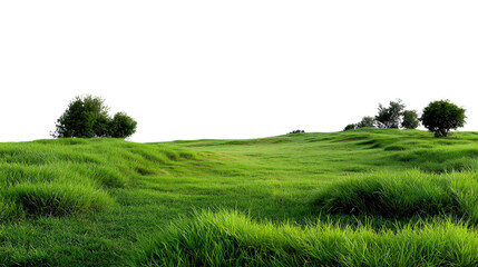 Obraz premium Green Meadow Panorama: Capture the beauty of a lush green meadow under a bright sky. The undulating terrain is covered in vibrant grass, with a few scattered trees adding depth to the landscape.