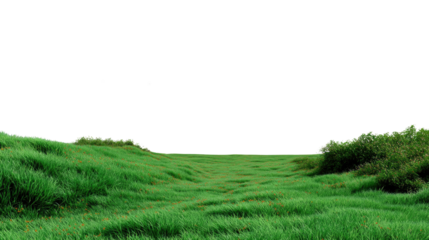 Green Meadow Pathway: A vivid, verdant pathway beckons, its grassy slopes leading towards the horizon under an expansive open sky, suggesting a journey or a fresh start. 