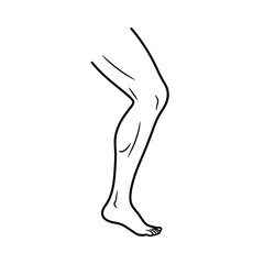 a simple line drawing of a human leg, shown from the side. 