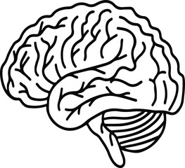 illustration of the brain. Brain outline drawing. Hand-drawn of a brain