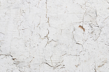 Light Gray Stucco Wall Texture. Abstract Background