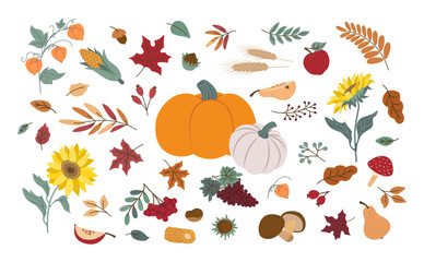 Colorful vector illustration featuring an array of autumn harvest elements, including pumpkins, leaves, sunflowers, and berries. Ideal for seasonal designs and creative projects.
