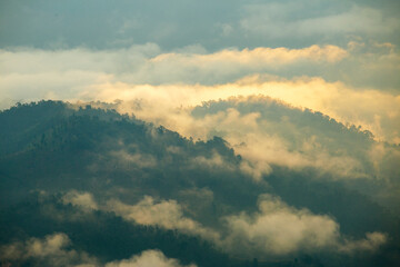 Landscape of Morning Mist with Mountain Layer. mountain ridge and clouds in rural jungle bush forest