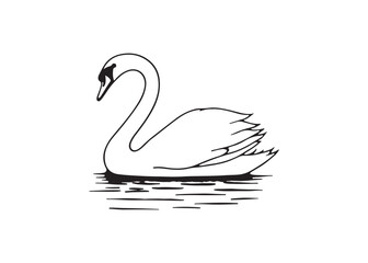 Elegant Black and White Swan Line Art Illustration, Serene Waterfowl Design, Graceful Aquatic Bird