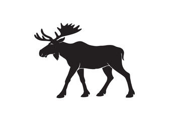 Majestic moose silhouette with giant antlers forward view on white background.