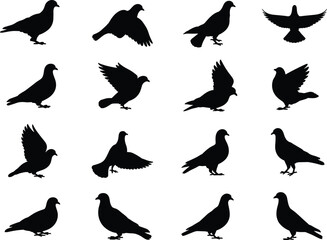 Pigeon dove silhouette vector collection, flying and standing birds set, peace symbol illustration, urban wildlife design, flock of pigeons isolated graphic elements