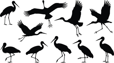 Silhouette of flying and standing stork birds, wildlife nature, water birds, migratory birds, feathered animals, flying birds collection, vector illustration