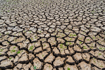 The ground is cracked because the water has dried up and there has been no rain.