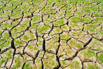 The ground is cracked because the water has dried up and there has been no rain.