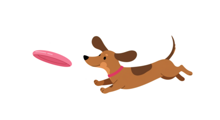 Playful Dachshund Dog Jumping to Catch a Frisbee illustration featuring leaping, ears, adorable, exercise, wiener, action