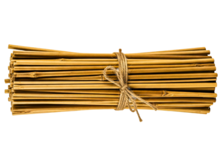 Bundle of dry bamboo sticks tied together with twine on a transparent background