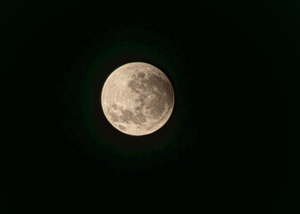 Obraz premium full moon in the night 