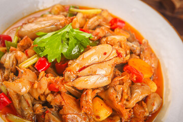 Spicy Stir-Fried Bullfrog with Vegetables Asian Cuisine Traditional Comfort Food in White Bowl