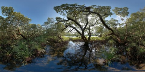 Obraz premium Nature hdr panorama wetlands landscape view