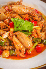 Hot Spicy Stir-Fried Bullfrog with Mixed Vegetables and Fresh Herbs Asian Cuisine Dish