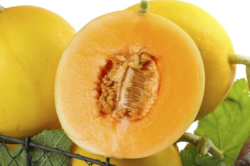 Golden Honeydew Melons from Minqin Gansu China - Fresh Fruit Crop Harvest