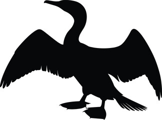 Silhouette of a cormorant bird standing with wings spread wide, isolated on white background, black bird shadow, aquatic waterfowl illustration