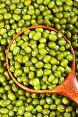 Fresh Green Mung Beans in Wooden Spoon - Nutritious Legumes for Healthy Cooking and Vegetarian Meals