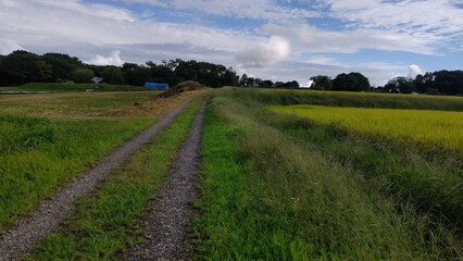 草刈り前の農地