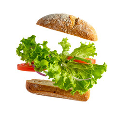 Delicious fresh hamburger and cheese with lettuce, tomato and onion on a plate, isolated on white background