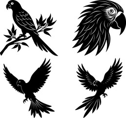 Fototapeta premium Parrot silhouette vector, Black silhouette of parrot vector bundle logo illustration set, parrot head art, parrot vector illustration
