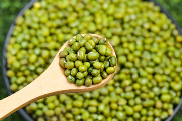 Organic Green Mung Beans in Wooden Spoon - Healthy Vegan Protein Ingredient for Plant-Based Cuisine
