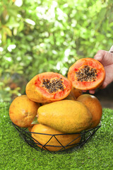 Fresh Ripe Papaya Fruit in Basket with Hand Holding Cut Papaya Showing Seeds and Red Flesh Outdoors