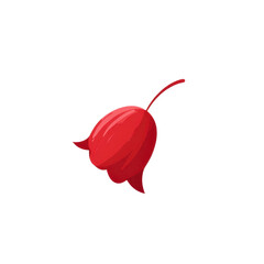 Vibrant Red Flower Blossom on Green Transparent background - Minimalist Botanical Illustration