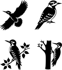 Obraz premium woodpecker silhouette vector, Black silhouette of woodpecker vector bundle logo illustration set, woodpecker head art, woodpecker vector illustration