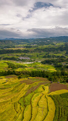 Obraz premium Aerial Views of Golden terraced paddy fields in Yunnan Province, China