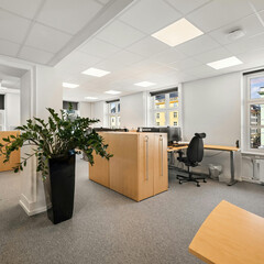 Office setup with chairs around the table with peaceful environment for work From Home set up for individual 