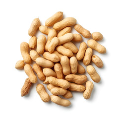 Fresh natural peanuts in their shells, isolated on a clean background.