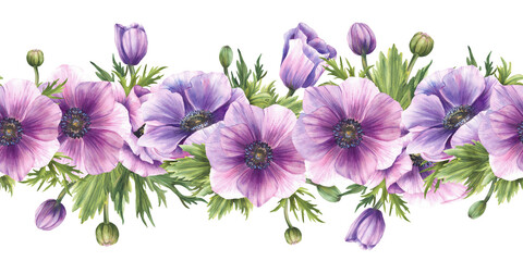 Watercolor purple Anemones flowers with pink buds and green leaves seamless border. Realistic greenery floral horizontal pattern for wedding design. Hand drawn isolated from background illustration