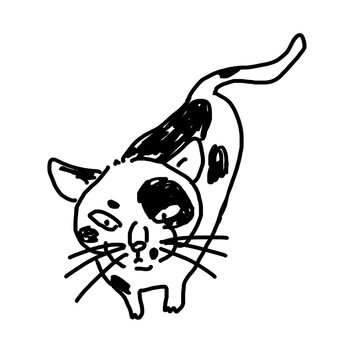 ぶちニャン