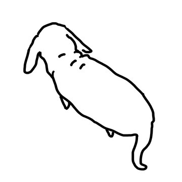 ぽっちゃり